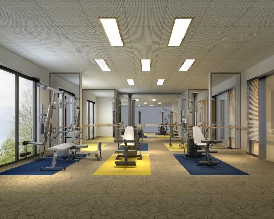 �B������b��Ч���D